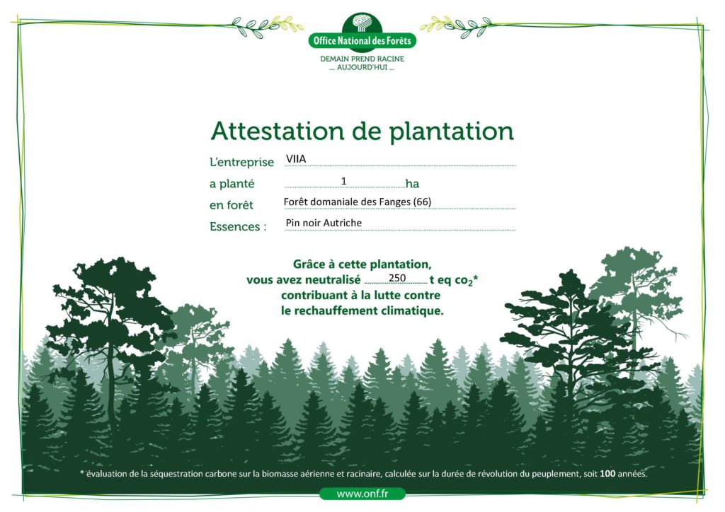 ONF plantation certification 10 Attestation de plantation VIIA Fanges 1024x724 1